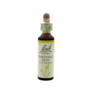 Power Bach Rescue Chestnut Bud 20ml