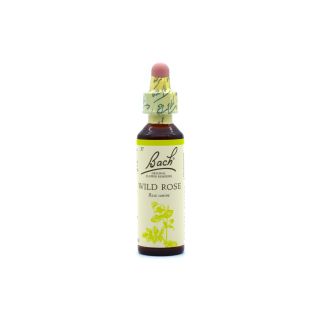 Power Health Bach Wild Rose 20ml