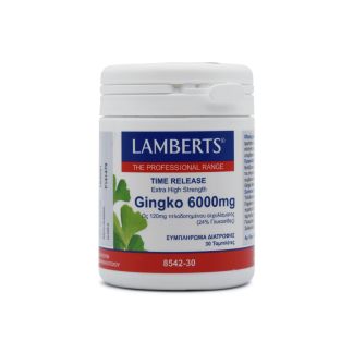 Lamberts Ginkgo Biloba Extract 6000mg 30 ταμπλέτες