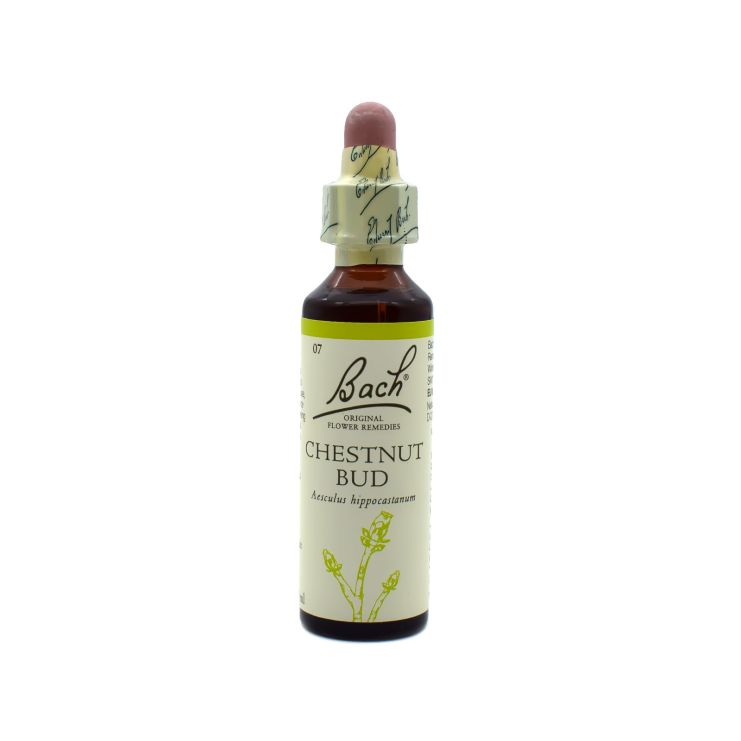 Power Bach Rescue Chestnut Bud 20ml