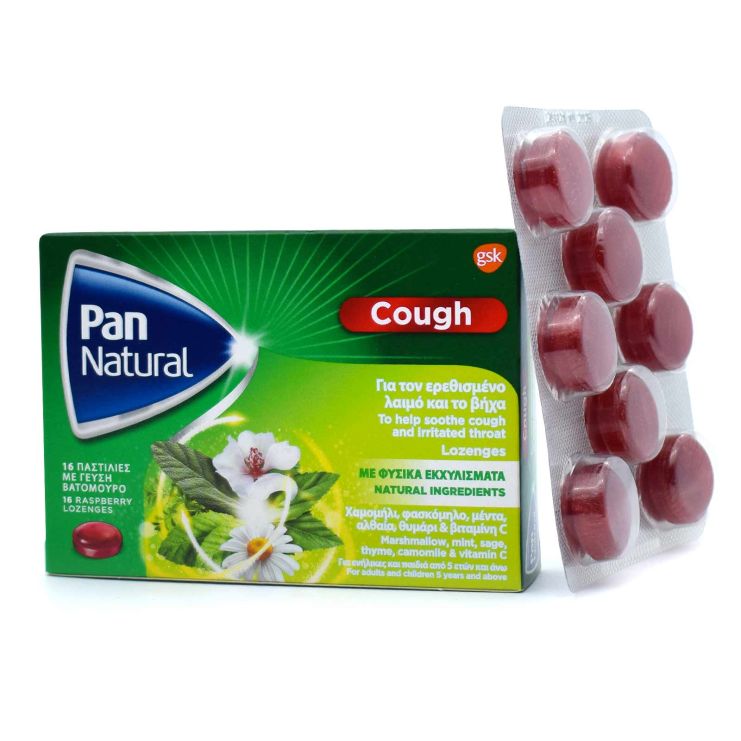 GSK Pan Natural Παστίλιες Βατόμουρο με Φυσικά Εκχυλίσματα 16 τμχ