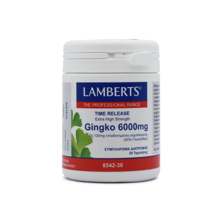 Lamberts Ginkgo Biloba Extract 6000mg 30 ταμπλέτες